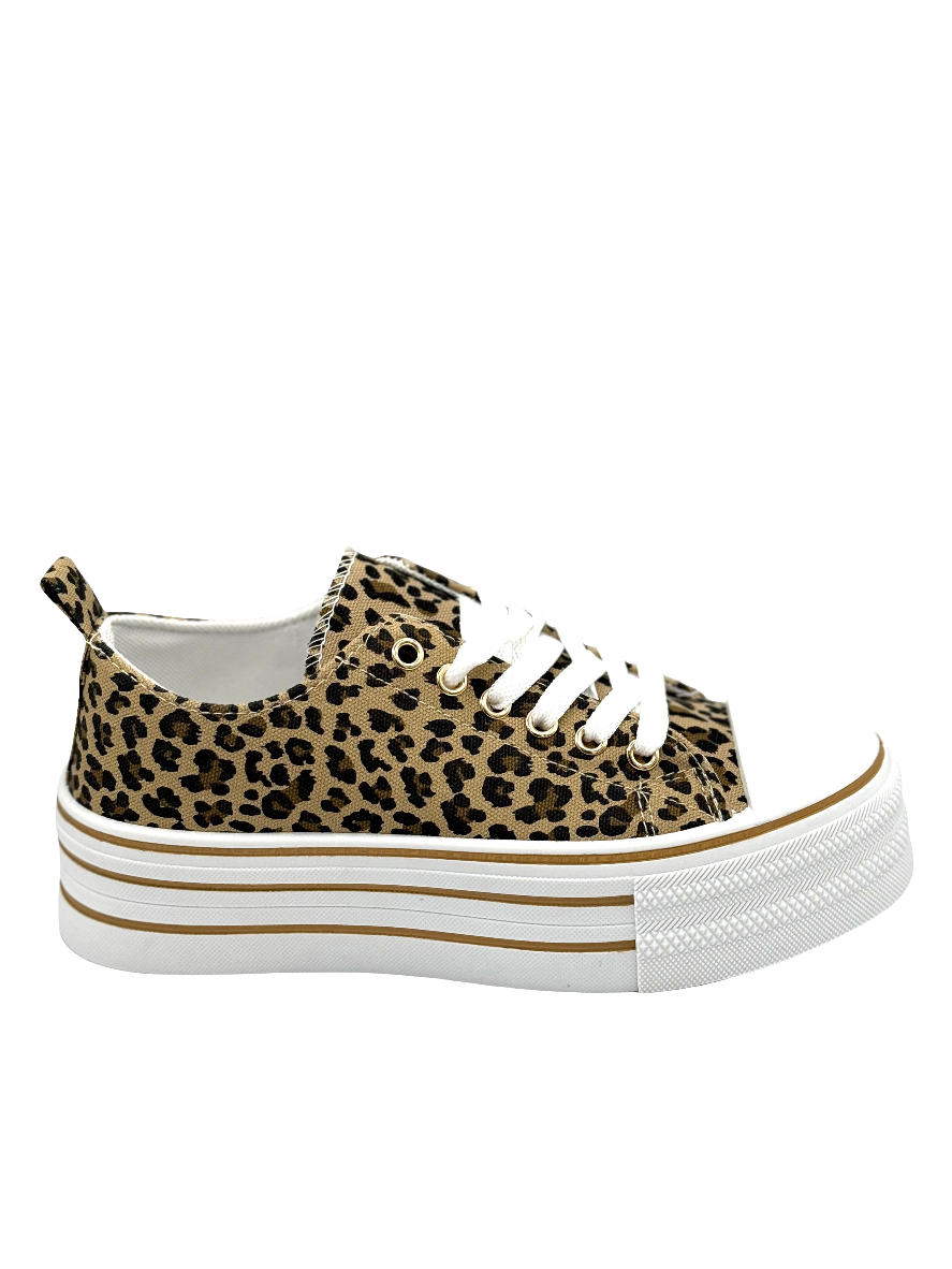 Monica_sneaker maculata