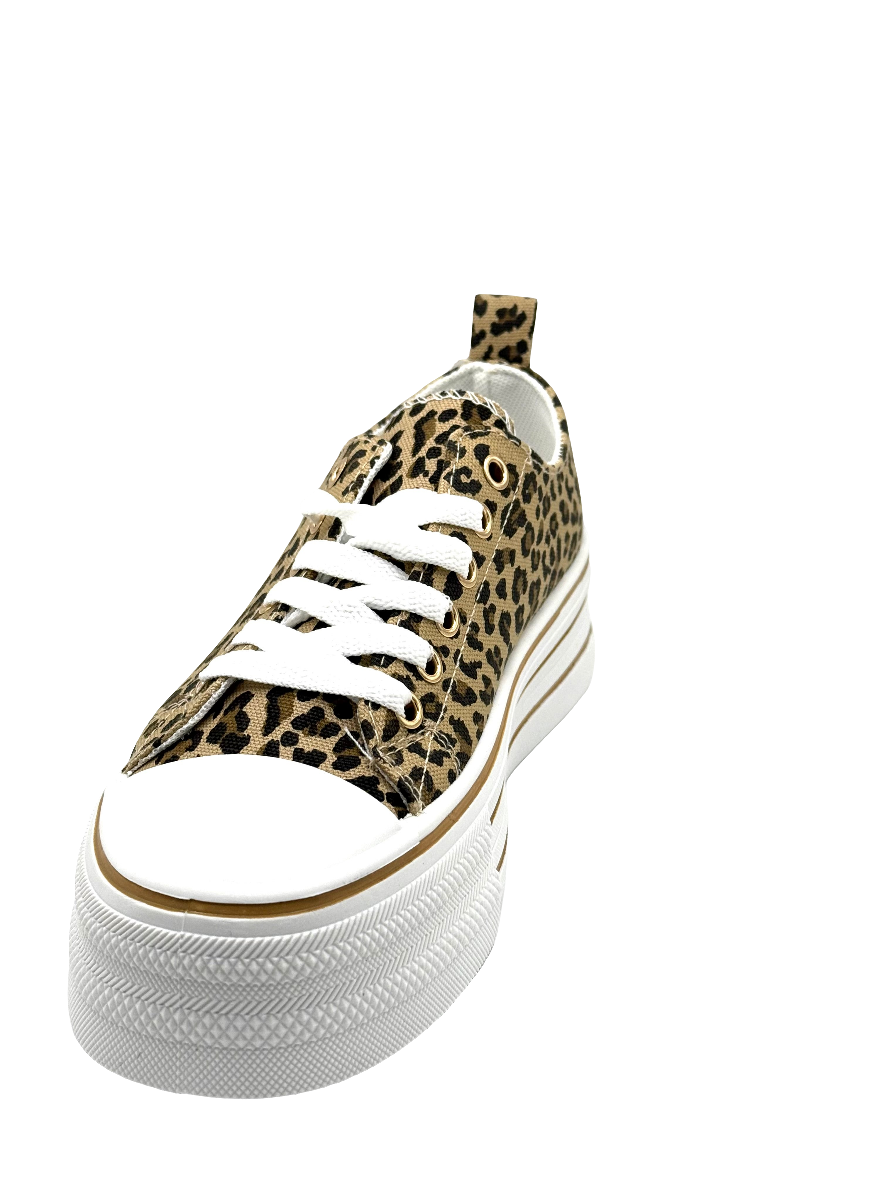 Monica_sneaker maculata