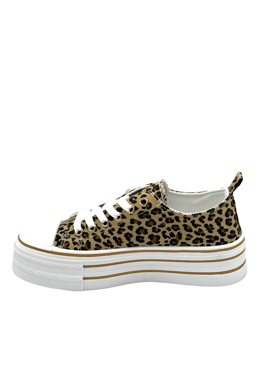 Monica_sneaker maculata