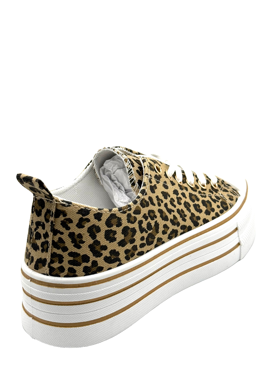 Monica_sneaker maculata